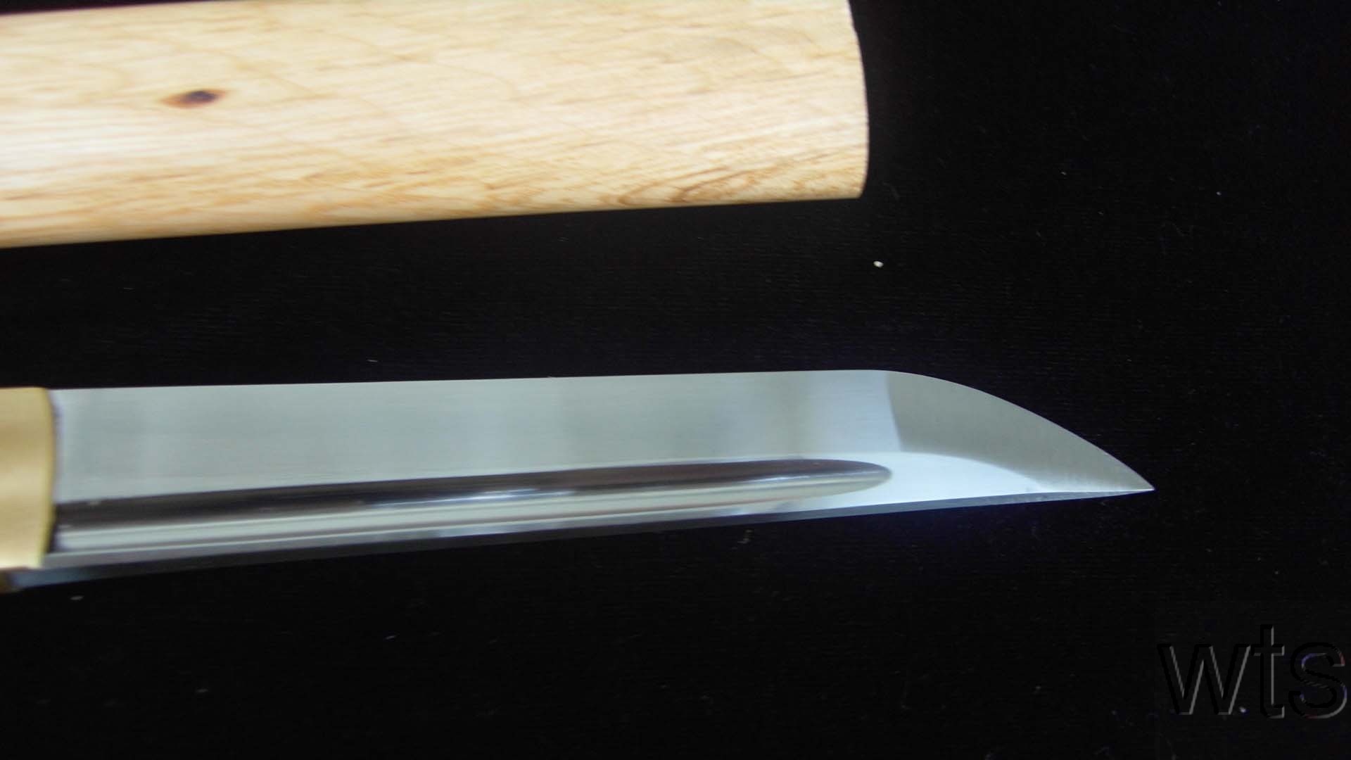 Image Display Failed