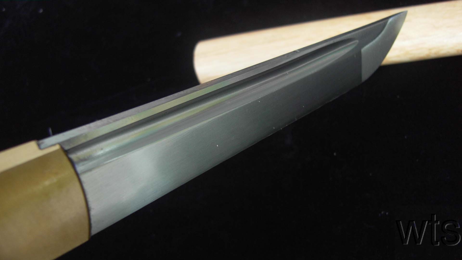 Image Display Failed