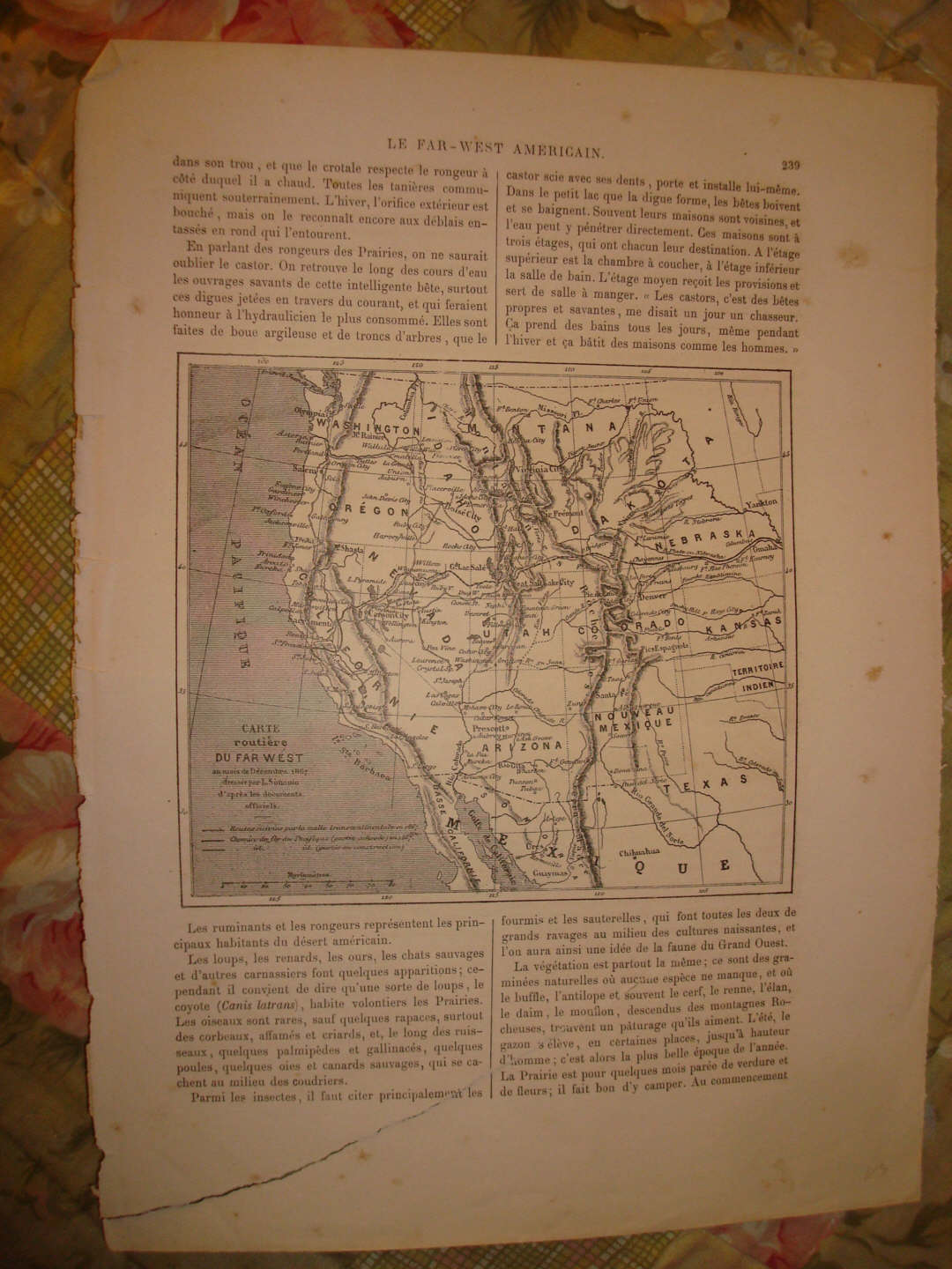 1867 ANTIQUE UNITED STATES MAP CALIFORNIA OREGON UTAH N