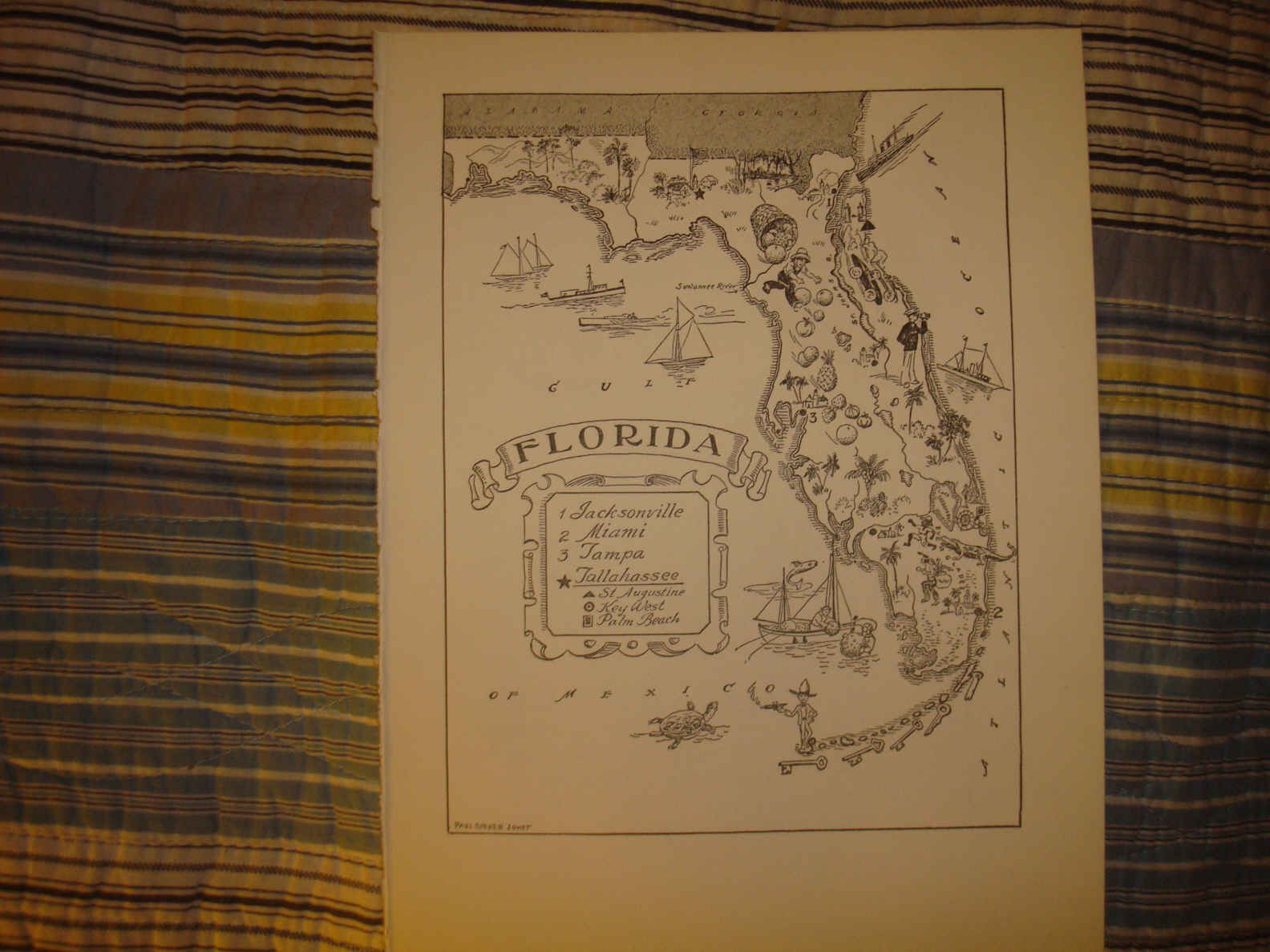 ANTIQUE FLORIDA CARTOON MAP BLACK RACIAL ALLIGATOR NR