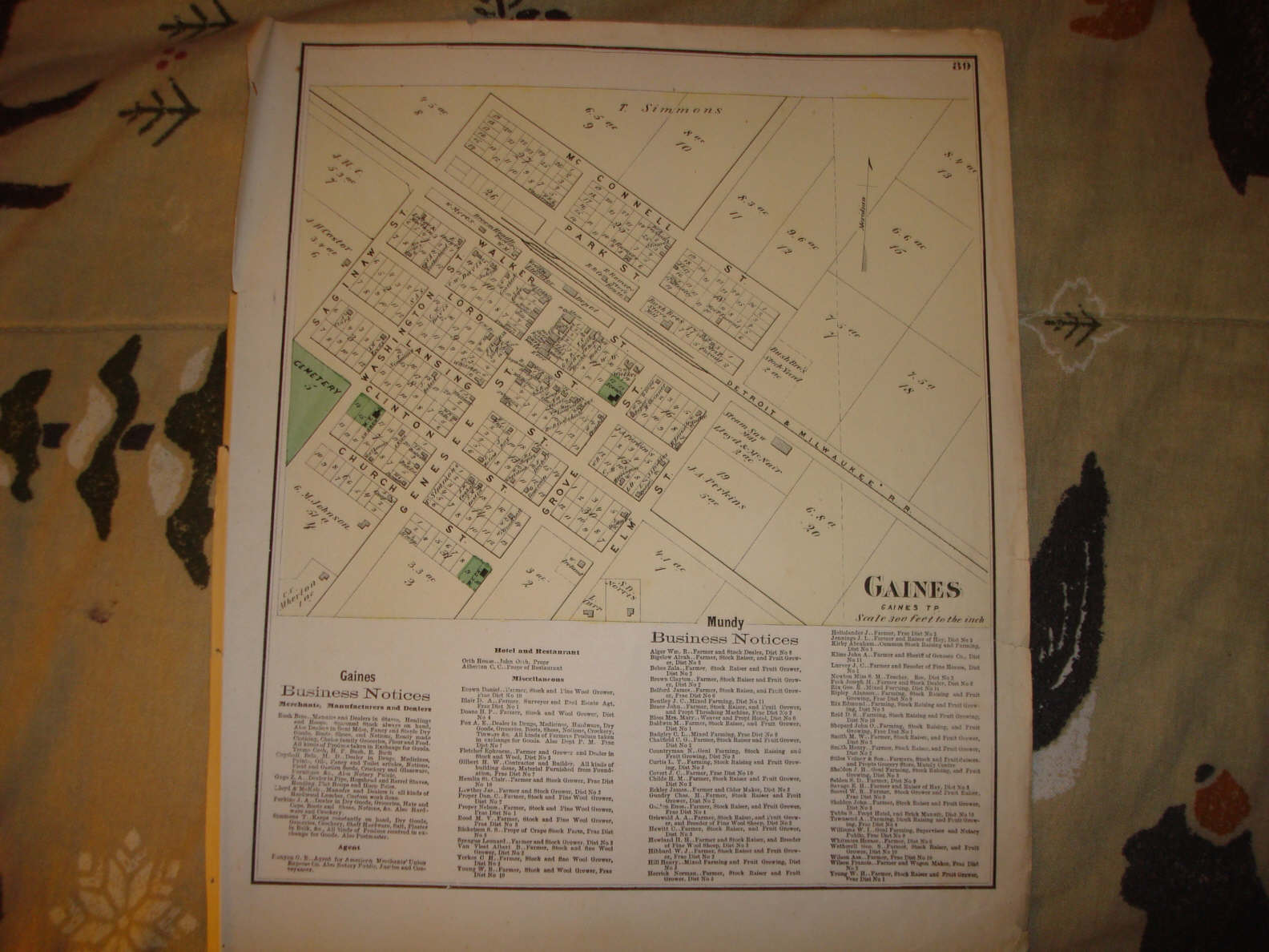 1873 GAINES GENESEE COUNTY MICHIGAN ANTIQUE MAP Rare NR