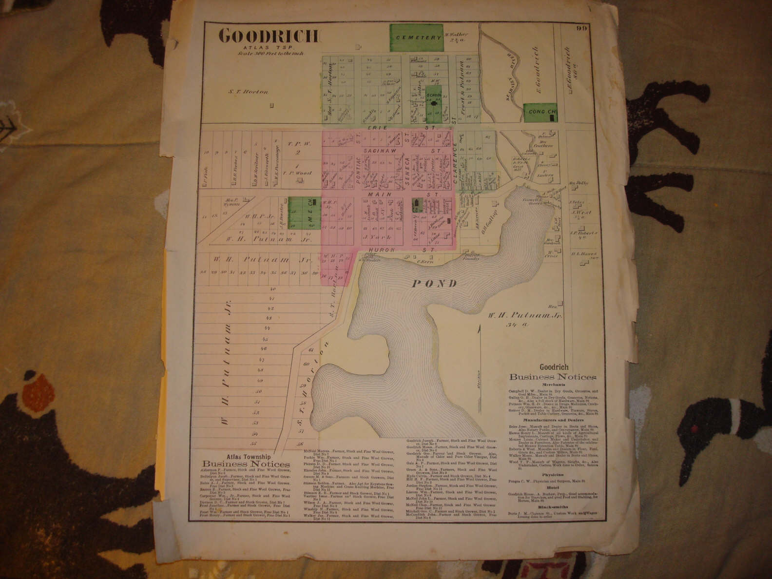 1873 GOODRICH GENESEE COUNTY MICHIGAN ANTIQUE MAP NR