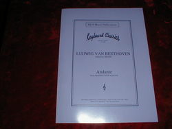WHOLESALE 35 Pcs PIANO Beethoven Andante
