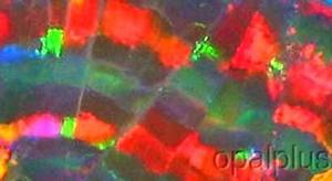 Opalplus