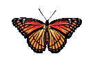 Image Hosting by Vendio