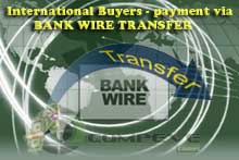 http://imagehost.vendio.com/preview/a/35010923/aview/bank_wire_transfer_compeve.jpg