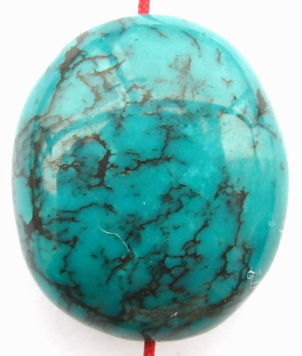 IMG_2147.jpg picture by ws225588