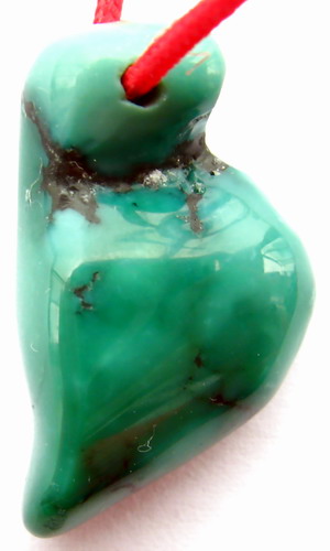 IMG_2594.jpg picture by ws225588