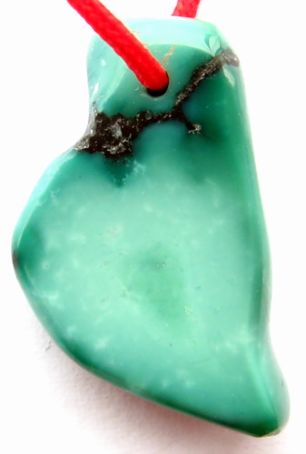 IMG_2595.jpg picture by ws225588