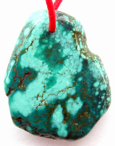 IMG_2613.jpg picture by ws225588