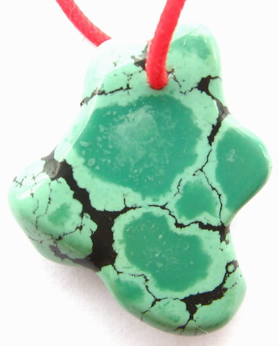 IMG_2621.jpg picture by ws225588