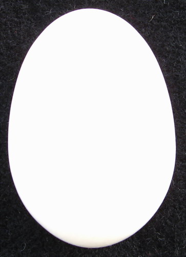 IMG_3191.jpg picture by ws225588