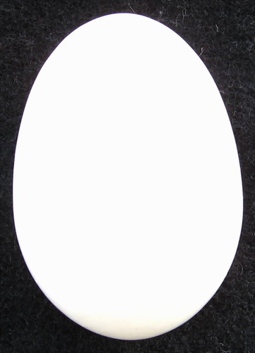 IMG_3192.jpg picture by ws225588