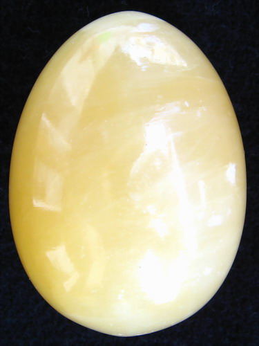 IMG_3240.jpg picture by ws225588