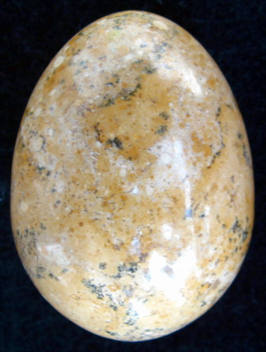 IMG_3243.jpg picture by ws225588