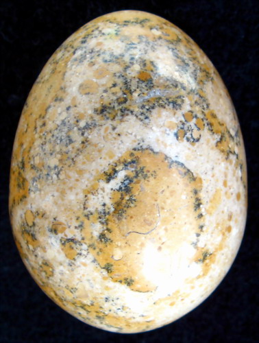 IMG_3244.jpg picture by ws225588