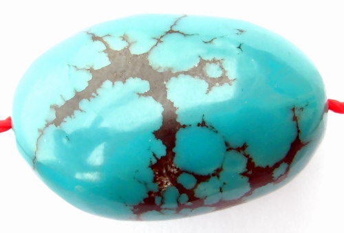 IMG_3438.jpg picture by ws225588