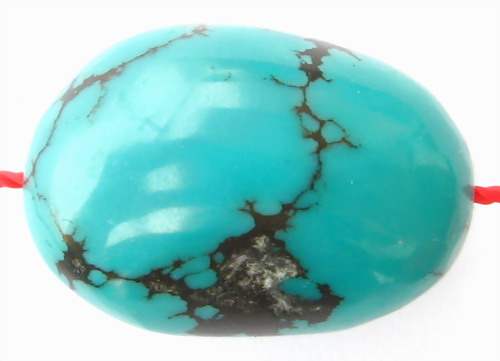 IMG_3439.jpg picture by ws225588