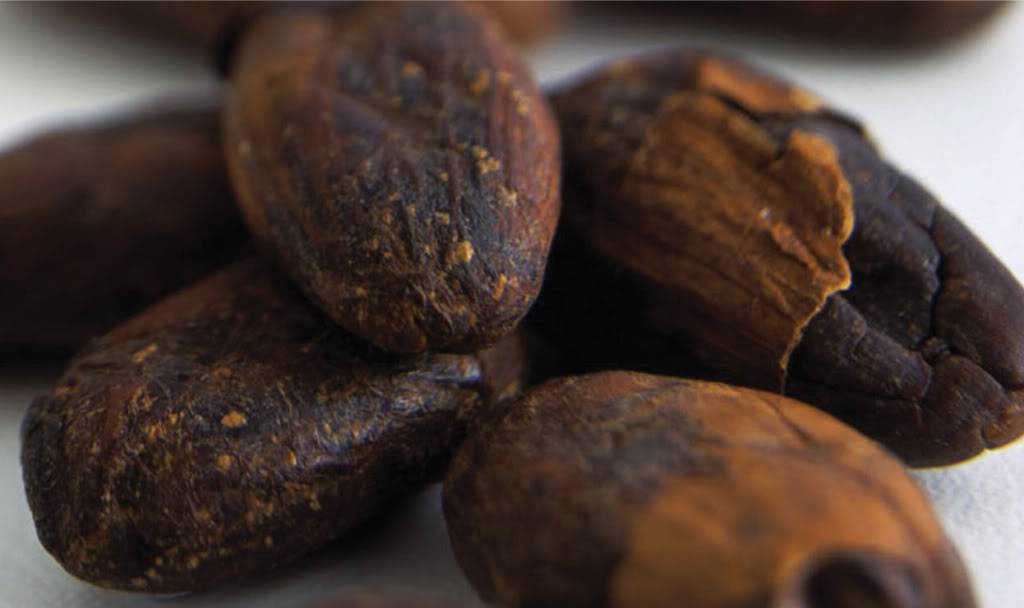Cacao Beans