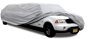 Limo car cover