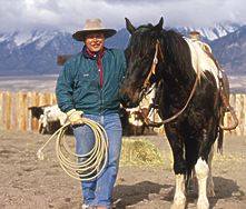 American Cowgirl Photography