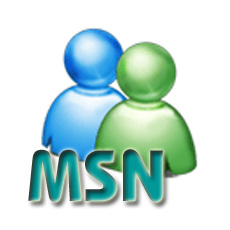 http://imagehost.vendio.com/preview/a/35032689/aview/msn_logo.jpg