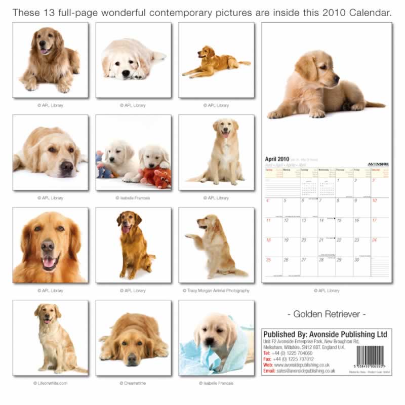 backside of calendar