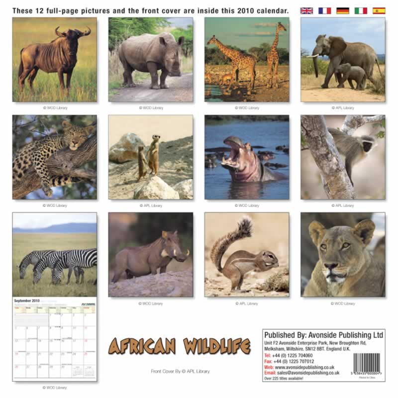 backside of calendar