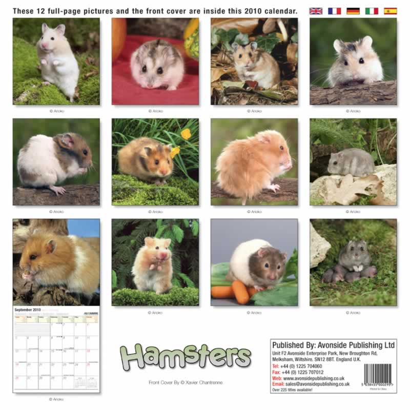 backside of calendar