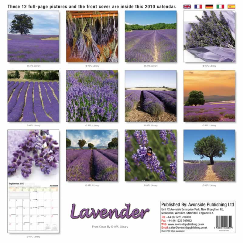 backside of calendar