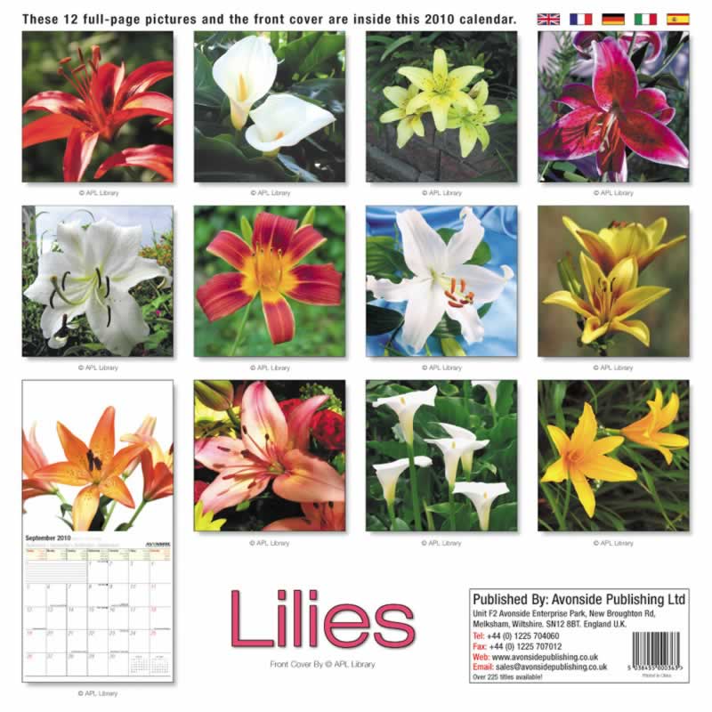 backside of calendar