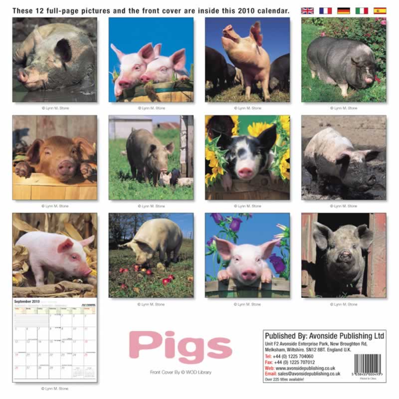 backside of calendar