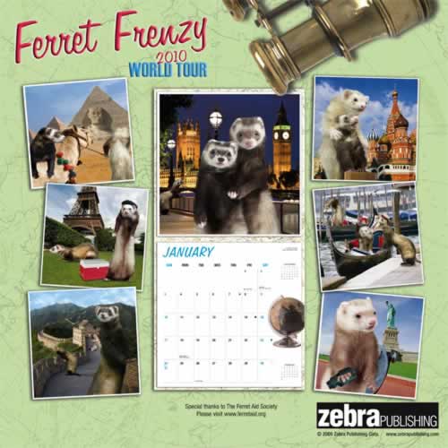 backside of calendar