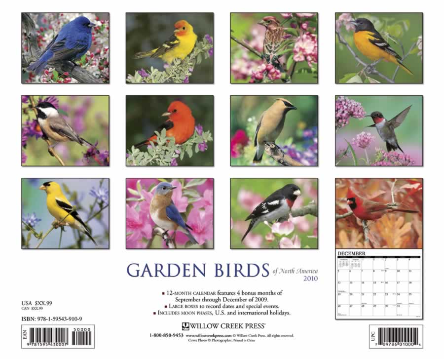 backside of calendar