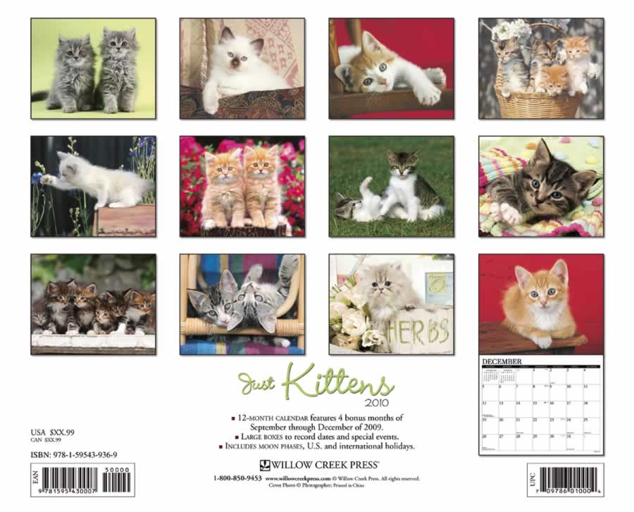 backside of calendar