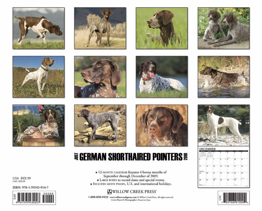 backside of calendar