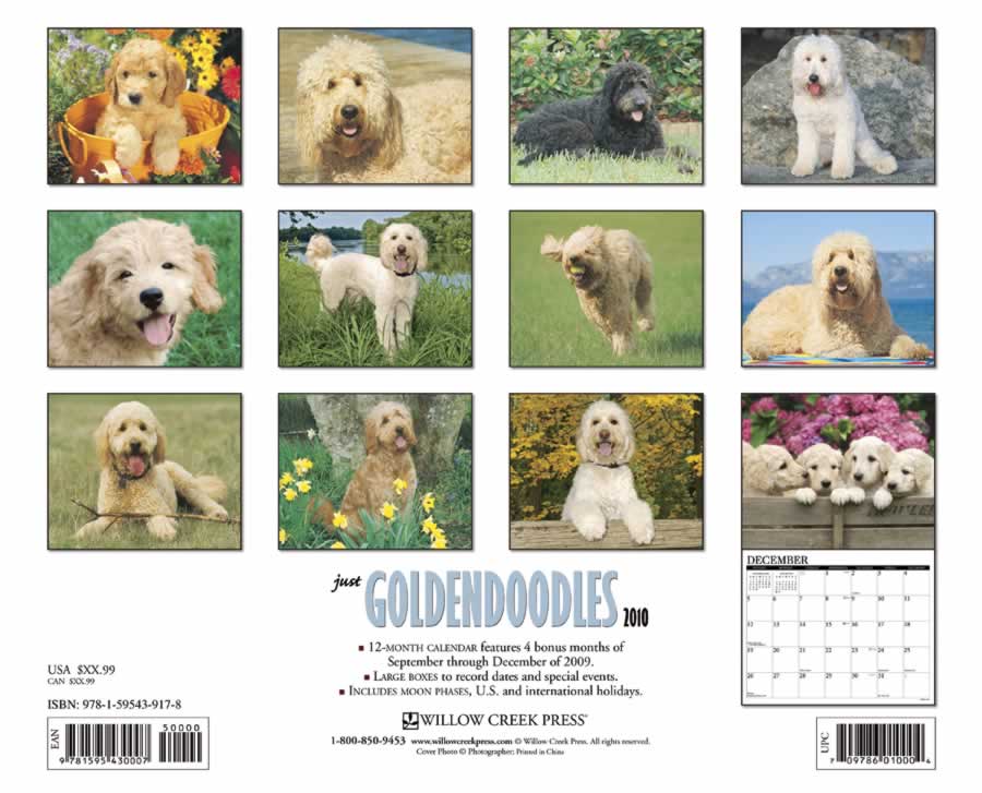 backside of calendar