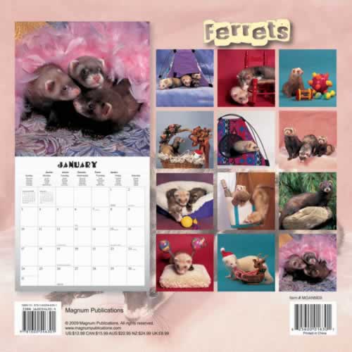 backside of calendar