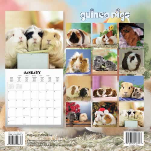 backside of calendar
