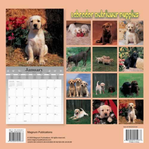 backside of calendar