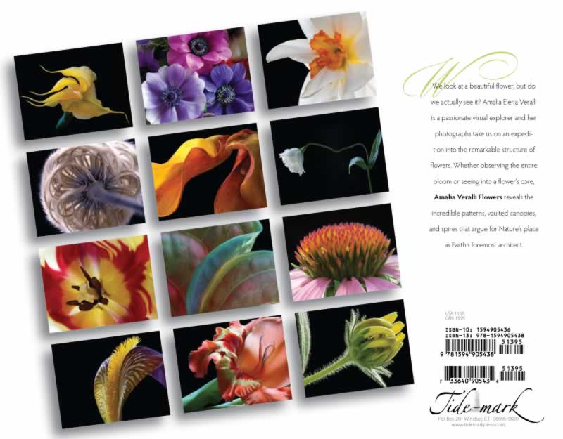 backside of calendar