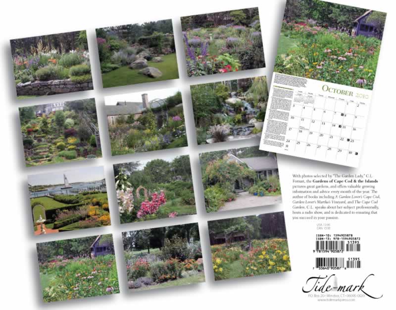 backside of calendar
