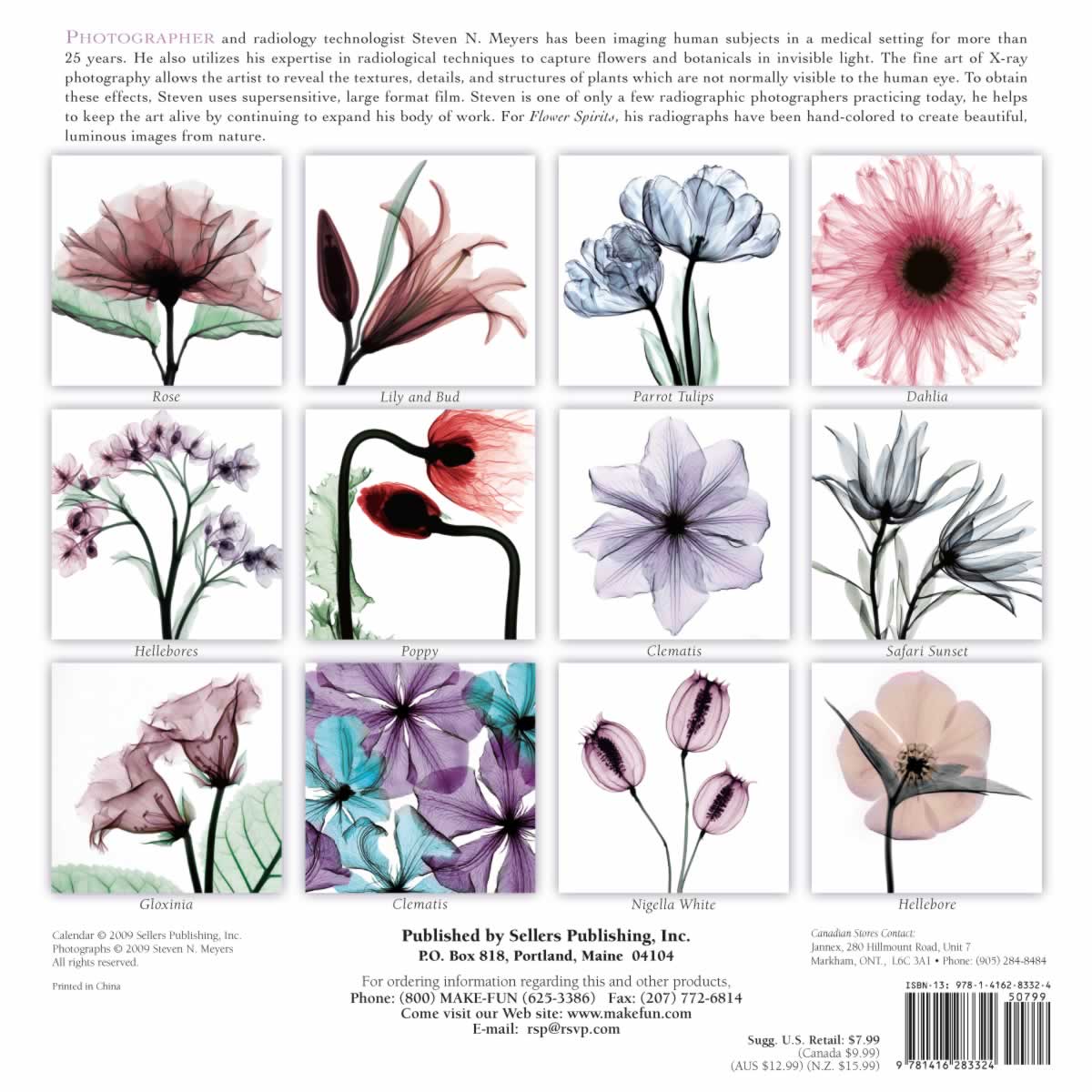 backside of calendar