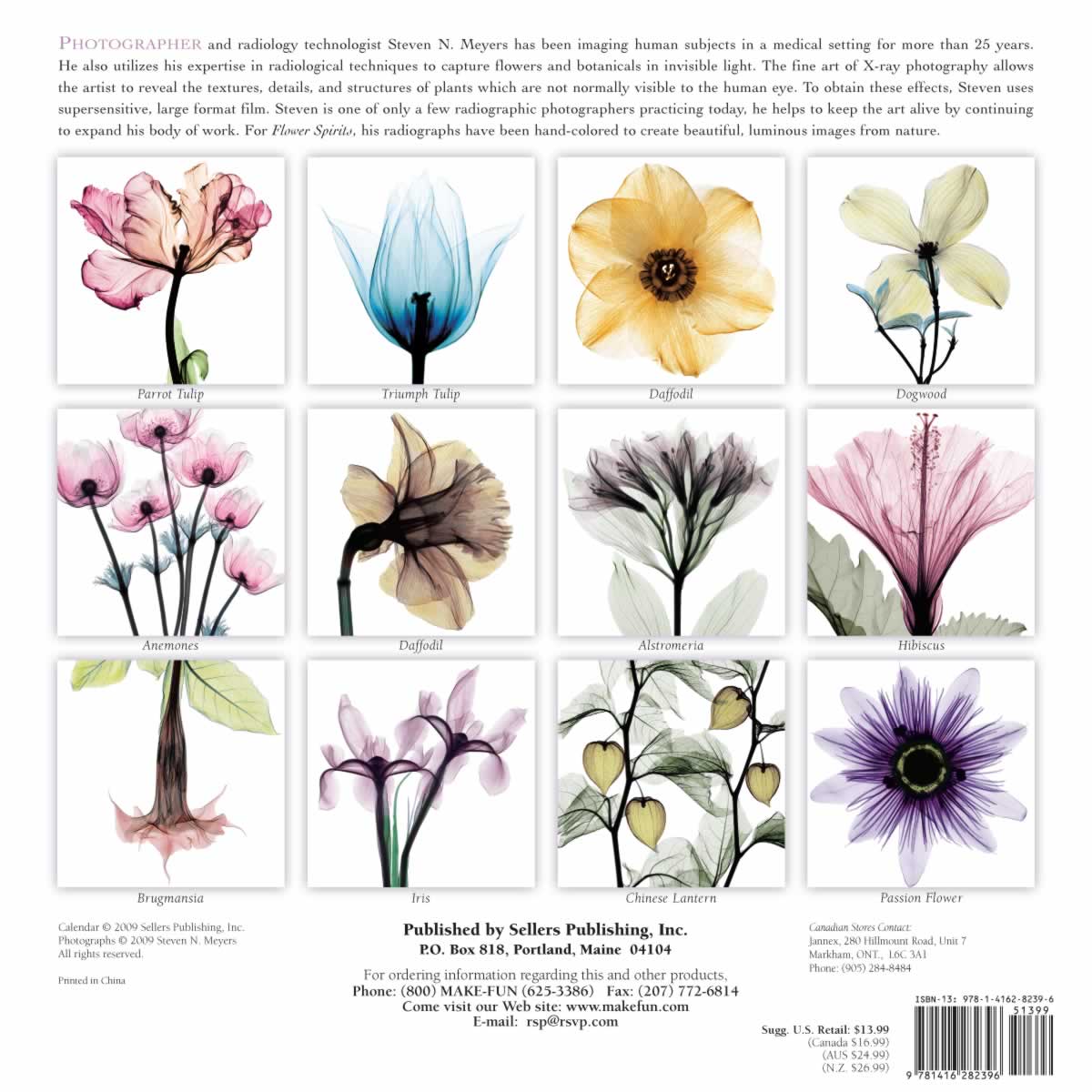 backside of calendar