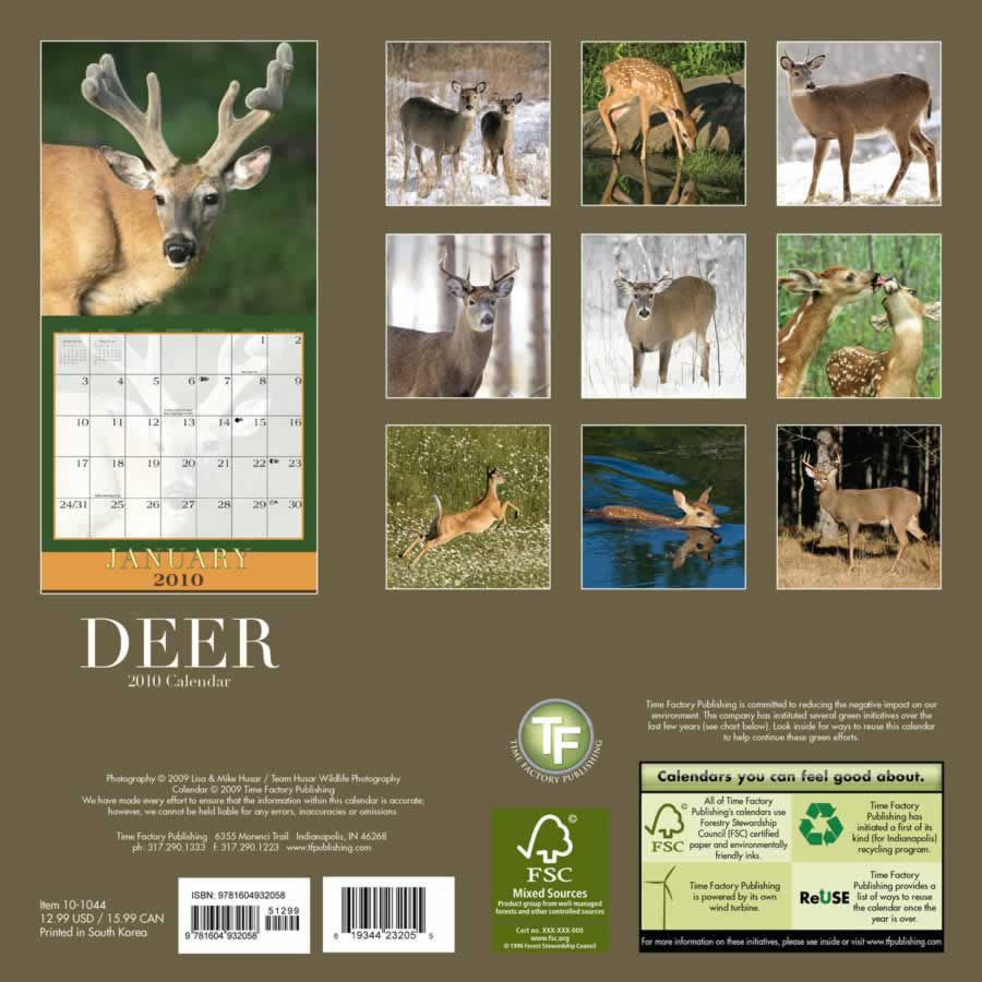 backside of calendar