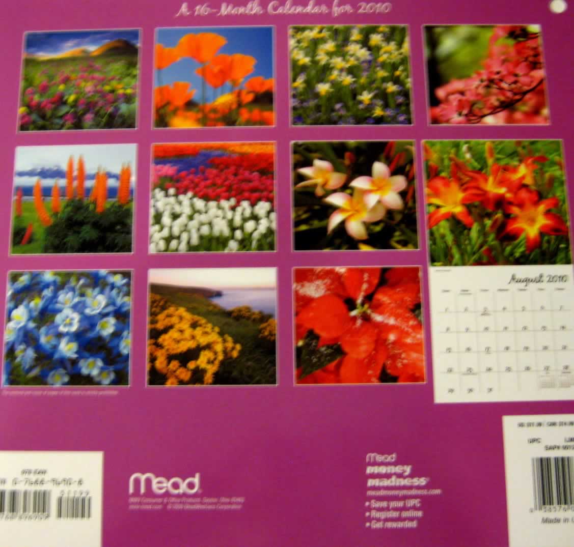 backside of calendar