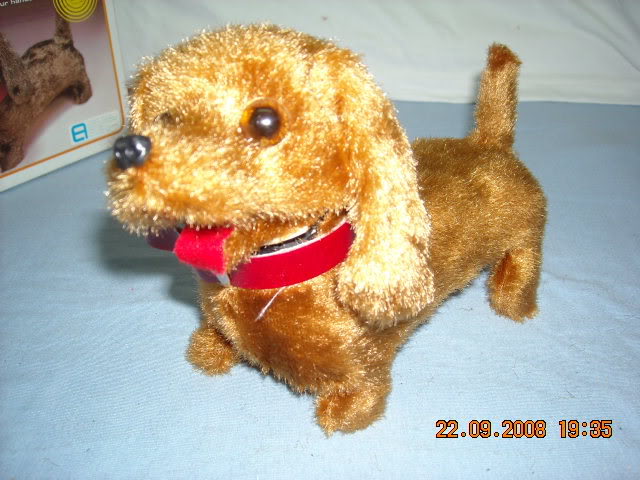 luckydog2.jpg picture by blacksword78
