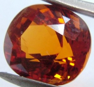 eBay Image Hosting at www.auctiva.com