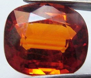 eBay Image Hosting at www.auctiva.com