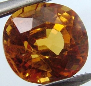 eBay Image Hosting at www.auctiva.com